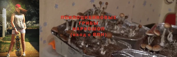 трава Лихославль