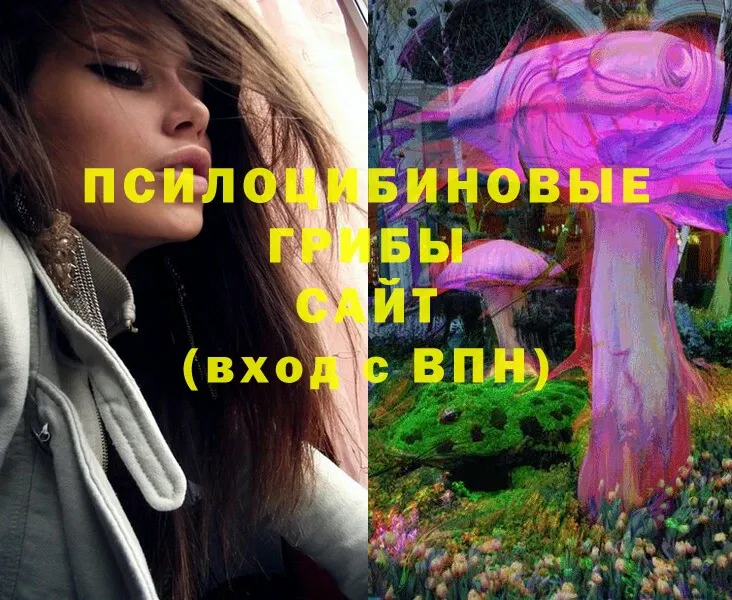 Галлюциногенные грибы Magic Shrooms  omg маркетплейс  Новосиль 